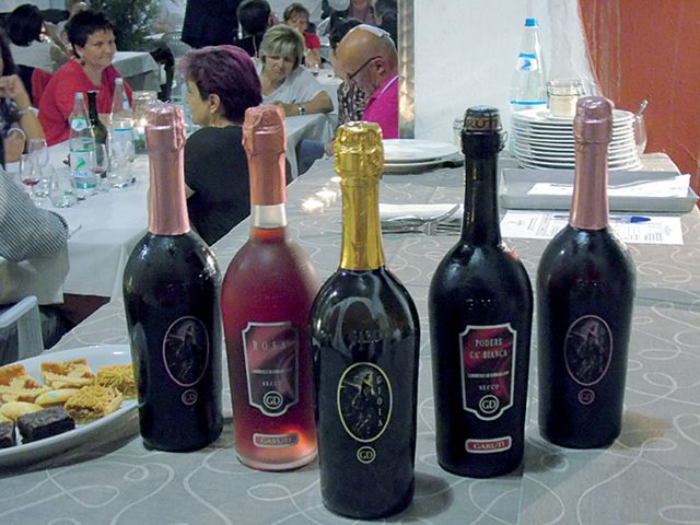 Rosso Rubino 2016 Cantina Garuti i vini