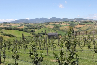 Emilia Romagna - Oltre 5 milioni per innovazione e ricerca in agricoltura
