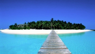 Tirocinio: isola felice o ultima spiaggia?