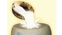 Lattiero Caseario: “Gran rimbalzo del latte spot”