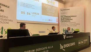 EVOO DAYS, De Castro: «la PAC conferma i 34 milioni per le associazioni olivicole italiane»