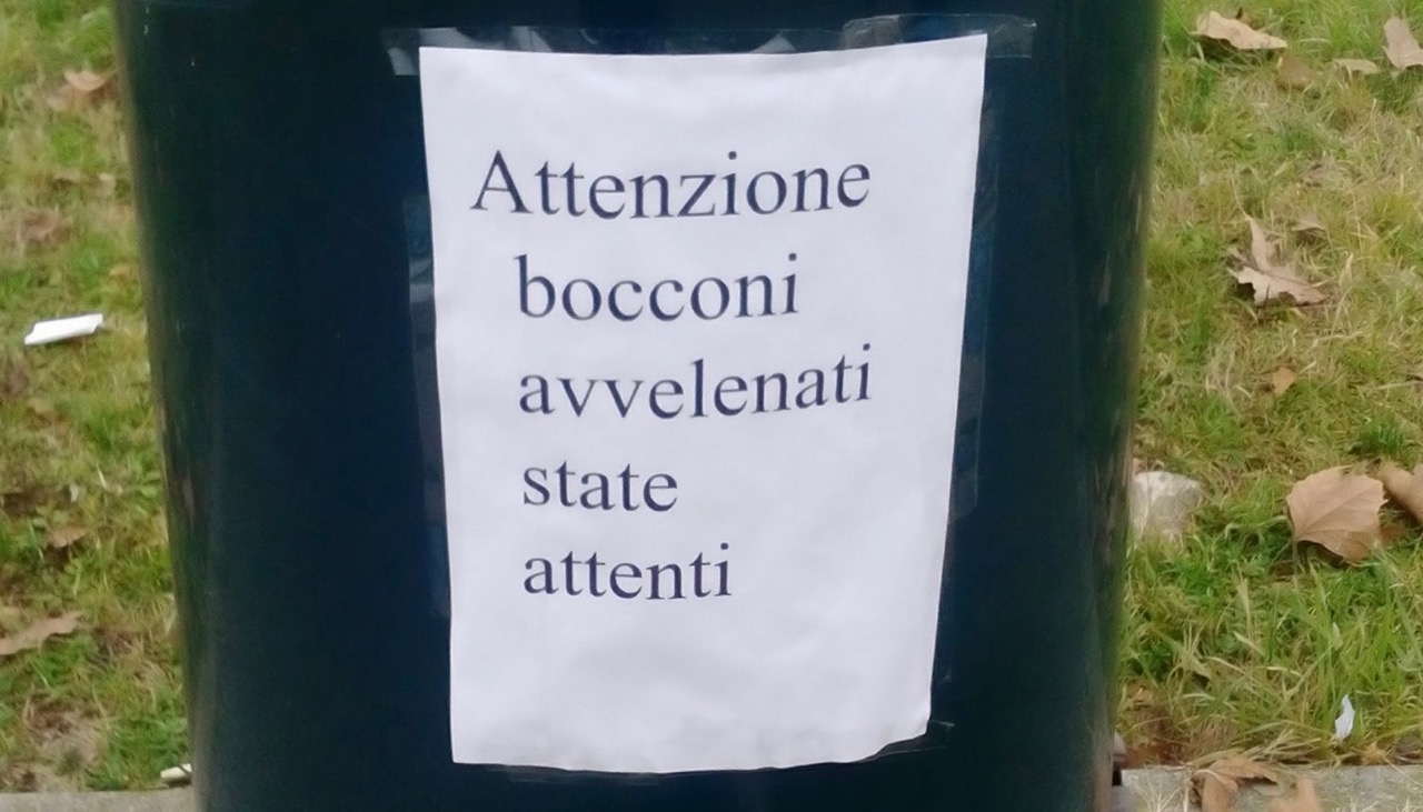 Bocconi_avvelenati_1.jpg