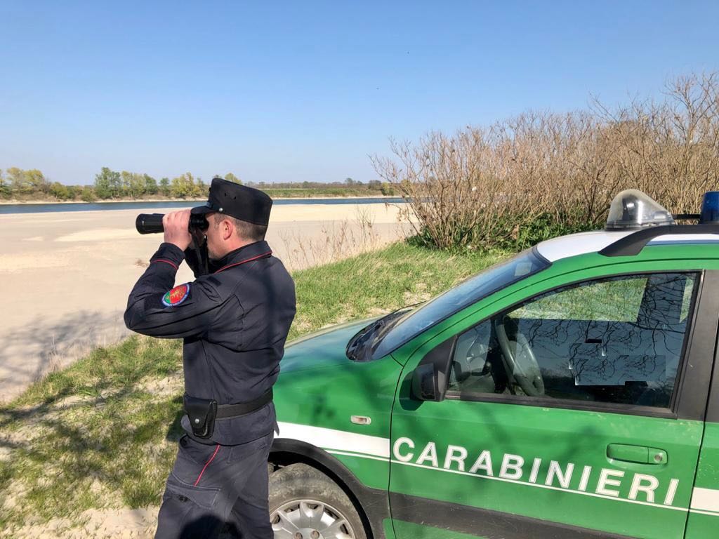 Carabinieri_forestale.jpeg