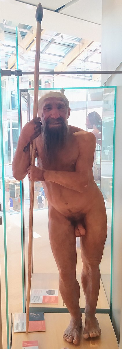 Muse_Trento_-_ricostruzione_di_Homo_neanderthalensis.jpeg