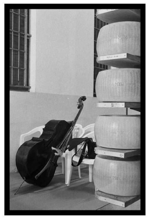 Una musica per il palato - Foto Consorzio Parmigiano Reggiano