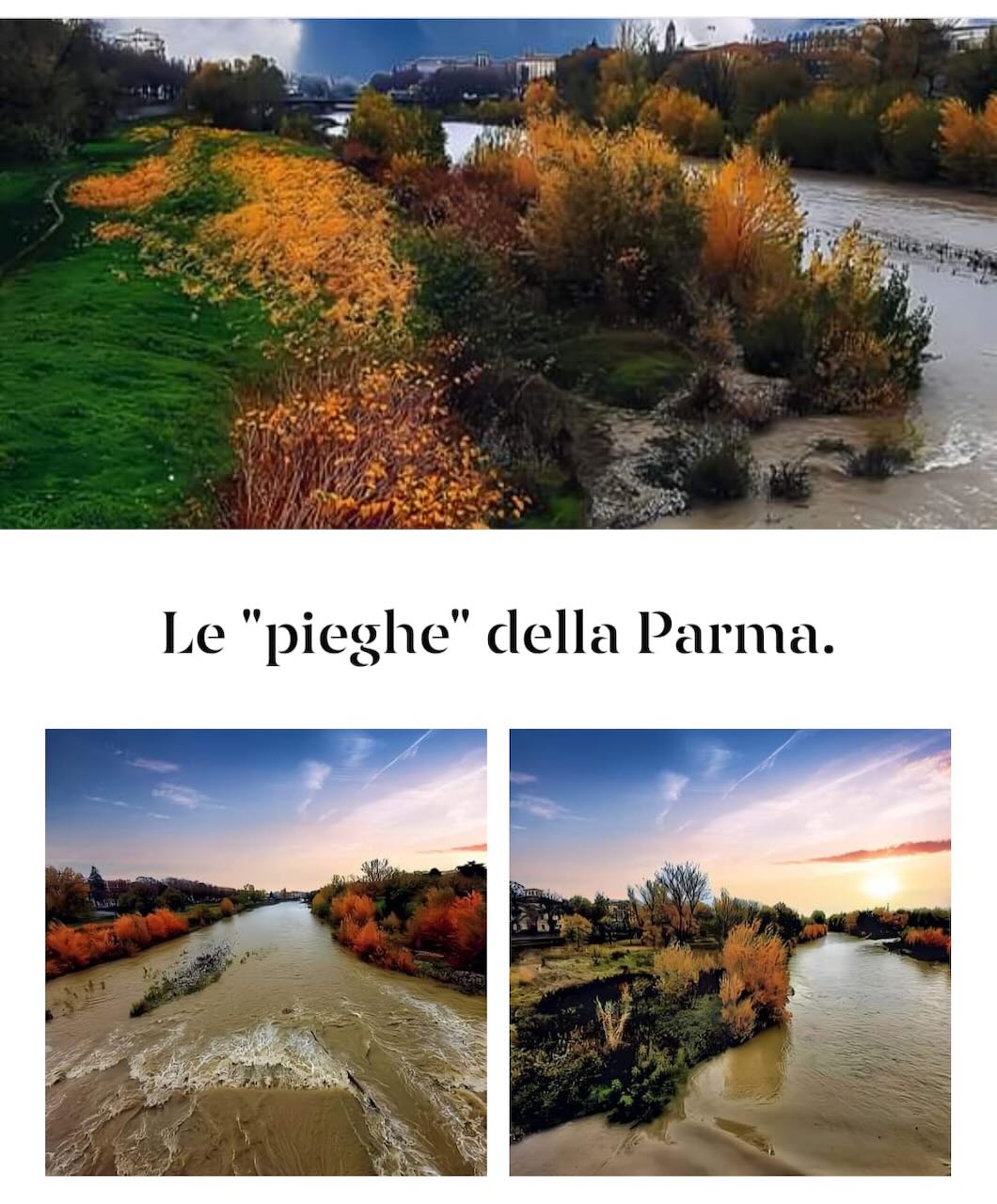 PR_La_Parma_autunnale_Nunno_-1.jpeg