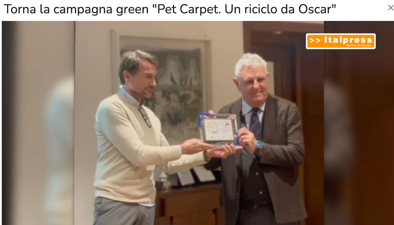 Pet_carpet4.jpeg