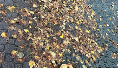 Strade e marciapiedi invasi dalle foglie, Dallatana (Vignali sindaco): “Grave pericolo per pedoni, biciclette e scooter: gli interventi messi in campo non garantiscono la sicurezza dei cittadini”