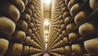 Il Consorzio Del Parmigiano Reggiano annuncia gli ottimi dati del primo semestre 2024: crescono vendite totali (+15,1% rispetto a gennaio-giugno 2023), Italia (+12,9%) Ed Estero (+17,5)