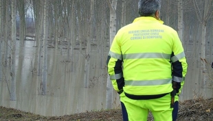 Fiume Secchia, ponti e scuole rimangono chiusi. A Campogalliano decine di animali morti