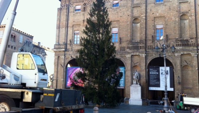 Parma, torna in Piazza l’ albero di Natale tradizionale