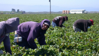 Nuovi Obblighi di verifica a cura dei datori di lavoro per l’assunzione di lavoratori stranieri