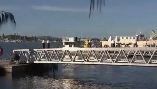 Squalo uccide ranger nella Grande Barriera Corallina del Queensland, quarto attacco in tre mesi