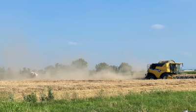 “Cereali e dintorni”. Soia in soglia di resistenza