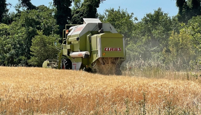 “Cereali e dintorni”. Quali scenari secondo l’AI (Intelligenza Artificiale)