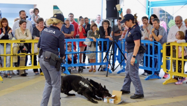 Anche i cani della Polizia di Stato di Parma al Torri Dog Show