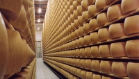 Parmigiano Reggiano: Raggiunto il Quorum di Adesioni per il Piano Regolazione Offerta 2023-2025