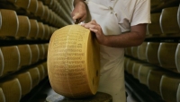 Parmigiano Reggiano: Il Progetto Editoriale “Scaglie” raggiunge oltre 10 milioni di utenti e, dopo due anni, si rinnova