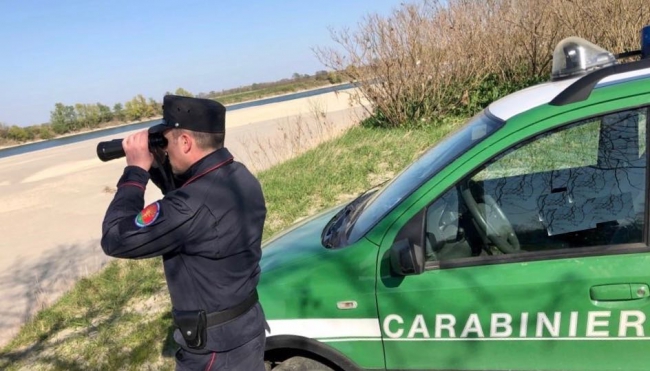 Carabinieri forestali e i controlli nelle aree verdi, saranno intensificati nei giorni di Pasqua e Pasquetta