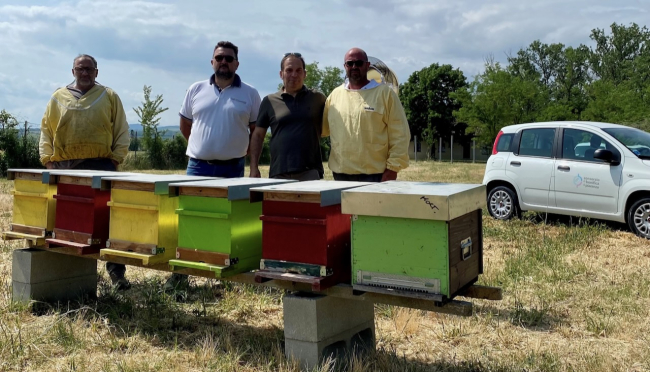 Il Consorzio di Bonifica di Piacenza in soccorso delle api e dell’ambiente