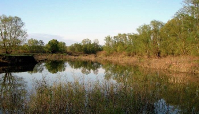 Pianificazione di distretto e conservazione della biodiversità: sinergie per un futuro sostenibile del fiume PO
