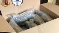 Modena - Sventato dalla Polizia di Stato giro di spaccio in via Emilia Ovest: rivenuti 24 Kg droga