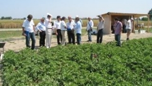 Attività di ricerca a sostegno dell&#039;agricoltura terremotata