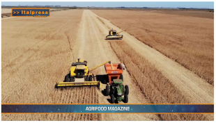 TG AGRIFOOD del 1 gennaio 2025 - Dalla Banca Europea 3 miliardi per agricoltori e bioeconomia  (Video)