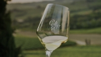 “Enjoy Collio Experience”