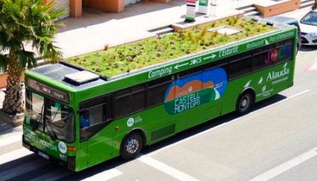 L&#039; autobus con il giardino sul tetto