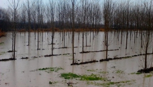 Modena, transita la piena di Secchia e Panaro verso l&#039;area Nord