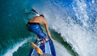 Un altro surfista ucciso in Australia da uno squalo, il secondo in una settimana