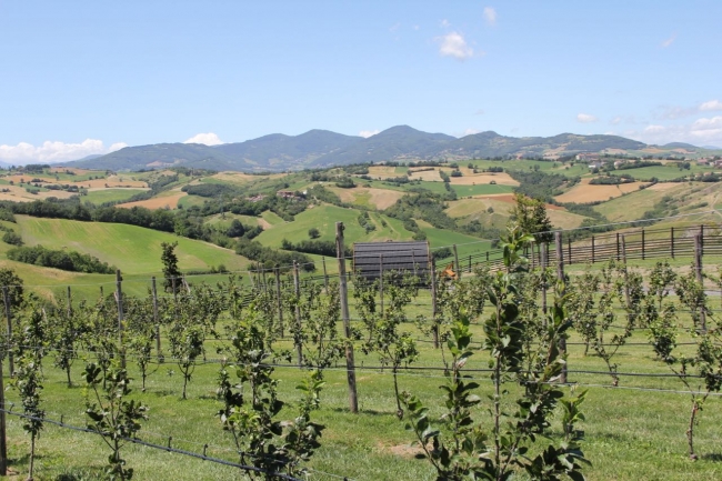Emilia Romagna - Oltre 5 milioni per innovazione e ricerca in agricoltura