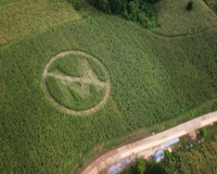 La Monsanto non cercherà più l&#039;approvazione dell&#039;Europa sugli Ogm