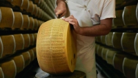 Parmigiano Reggiano: è online “scaglie”, il progetto editoriale per valorizzare territori e comunità