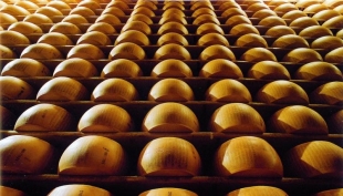 Il &quot;Parmigiano&quot; a &quot;terra Madre Salone del Gusto&quot;