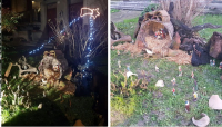 Presepe di fronte alla casa di Paolo Panni a Zibello