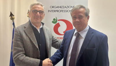 Giuseppe Romanini eletto presidente dell’OI Pomodoro da Industria Nord Italia per il triennio 2025-2027