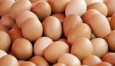 Scandalo uova. 2 campioni positivi riscontrati in Italia