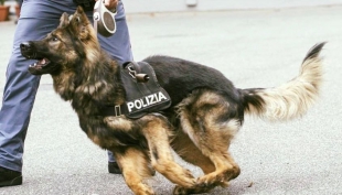 Attività di controllo straordinario del territorio, tra assembramenti e spaccio