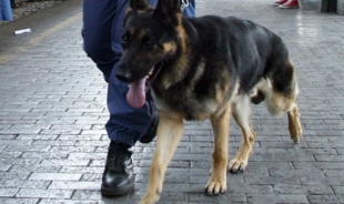 Pusher arrestato grazie al &quot;fiuto&quot; dei cittadini e del cane antidroga