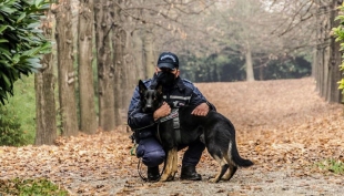 Fait, agente a quattro zampe, “scova” uno spacciatore nel suo primo giorno di lavoro