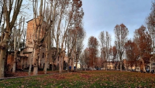 San Secondo. Potatura di 140 platani sui viali comunali e in piazza Mazzini