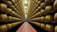 Il Consorzio Parmigiano Reggiano ha chiesto che le immagini della Dop presenti nel film Toscana vengano eliminate