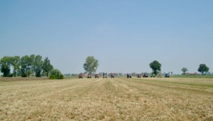 All&#039;orizzonte un maxi colosso dell&#039;agricoltura