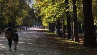 Parma - Cadavere nel laghetto del Parco Ducale