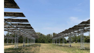 Casalasco presenta il primo parco agrivoltaico in Italia per favorire la coltivazione del pomodoro da industria