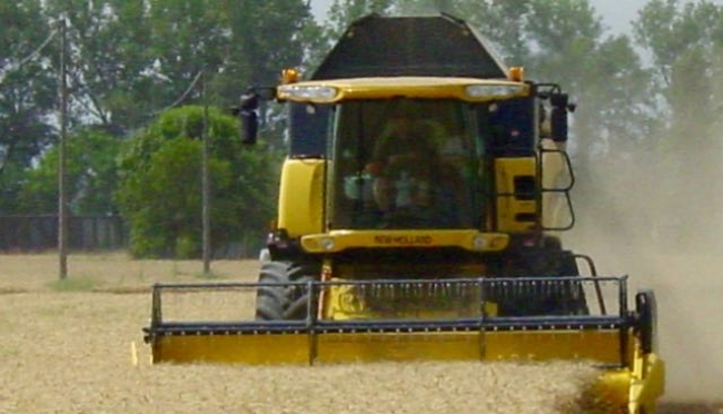 Cereali in balia dei fattori internazionali tra crisi Greca, Cina e le tensioni sul fronte russo.