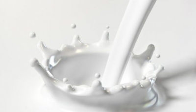 Quote latte, 115.000 tonnellate in esubero nell&#039;ultima campagna.