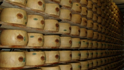 Lattiero Caseario, &quot;Parmigiano&quot; in flessione.